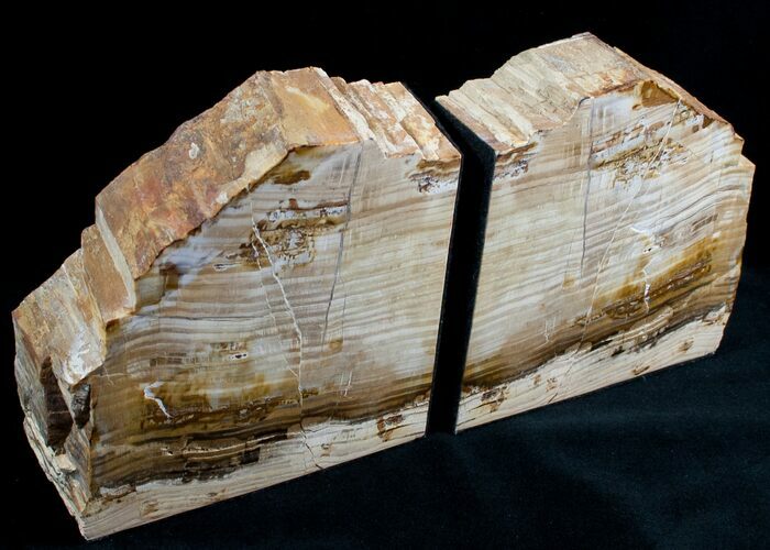 Small Sequoia Petrified Wood Bookends - Oregon #6476